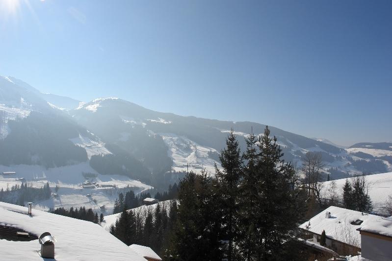 Ferienwohnung Alpbach 646 Zimmer foto